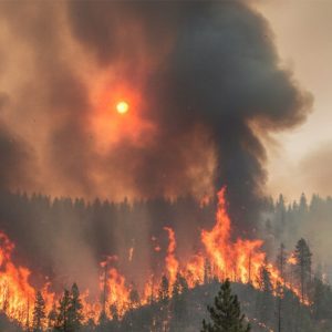 IncendiosReclusos