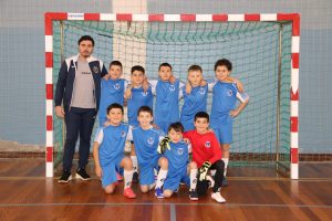 Sanfins