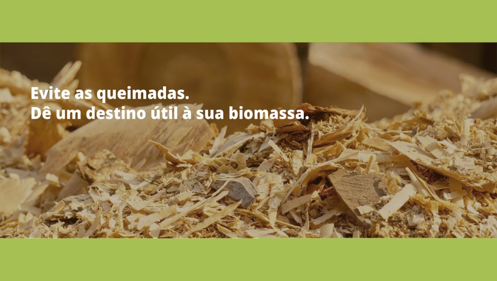 biomassa
