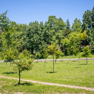 parque