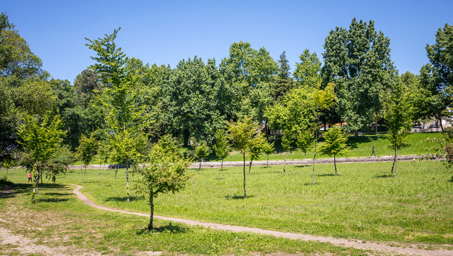 parque