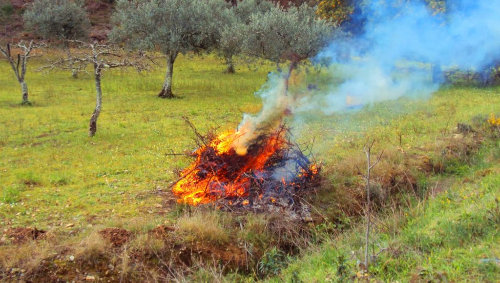 Proteção Civil de Paços de Ferreira processou mais de 1.800 pedidos de queimas e queimadas em 2025 1 queimas1