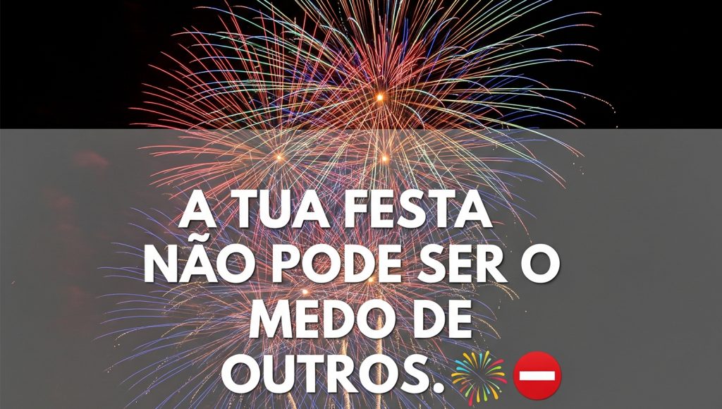 Festa para uns, pesadelo para outros: Debate sobre fim dos rebentamentos em fogo de artifício 1 FogoArtificio FIN