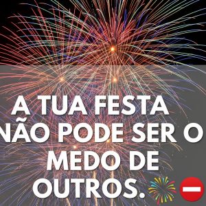 FogoArtificio FIN