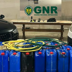 GNR1