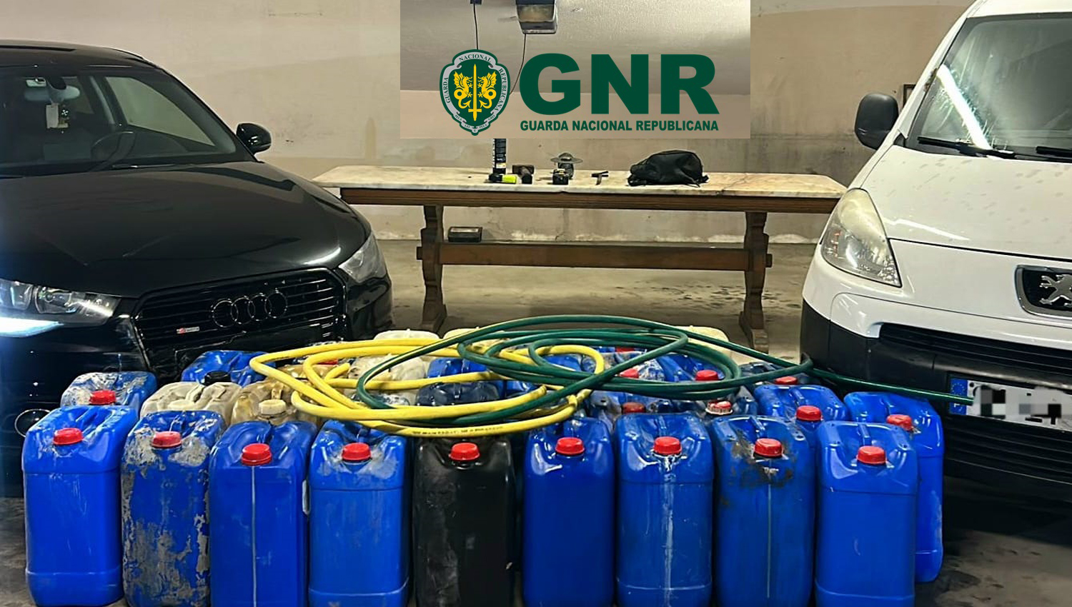 GNR1