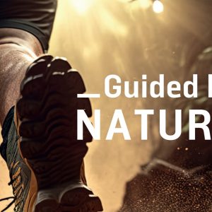 Guide