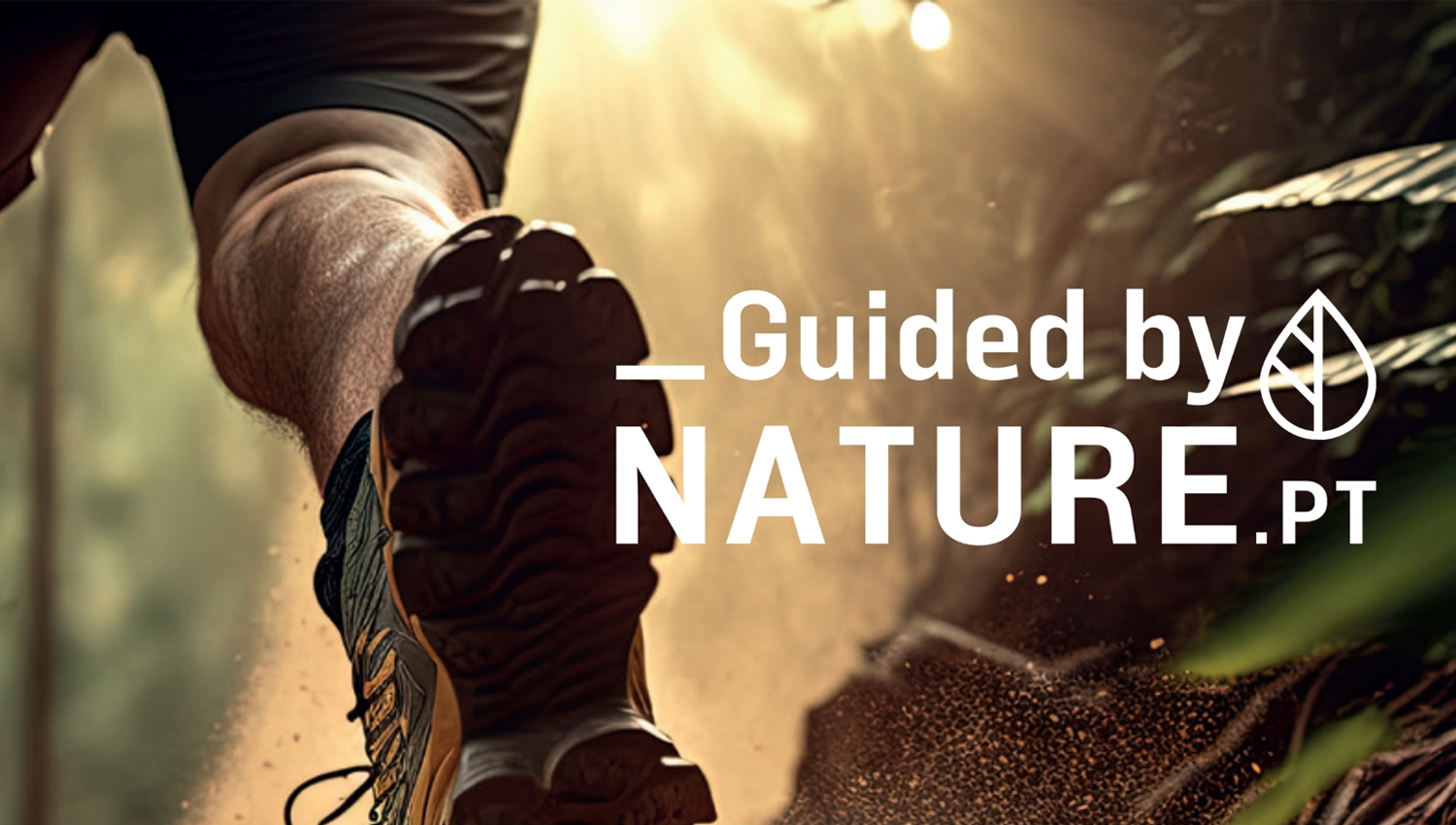 Guide