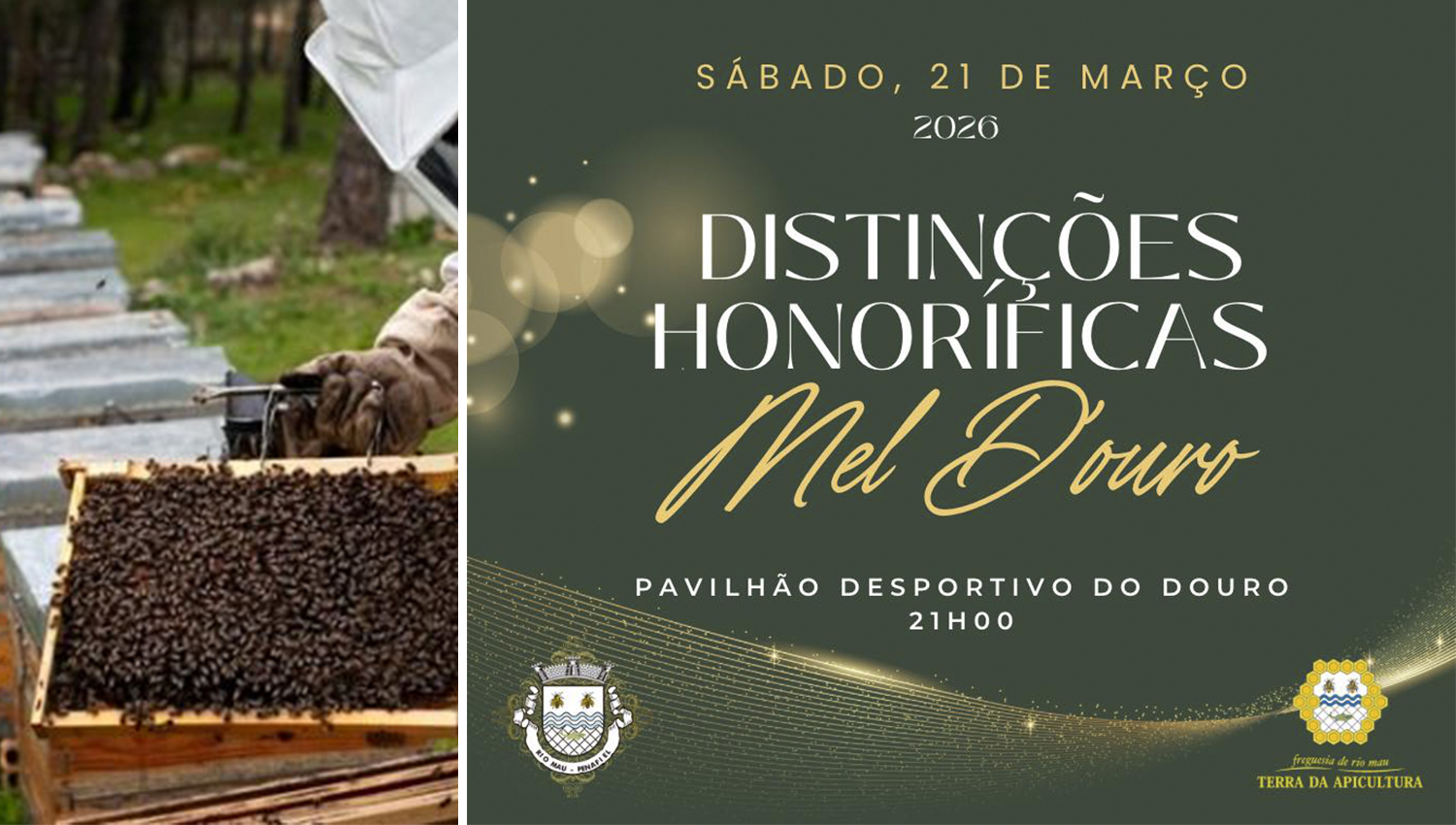 Rio Mau celebra mérito e tradição: “Terra da Apicultura” entrega Distinções Mel D’Ouro 2026 3 RioMau final 1