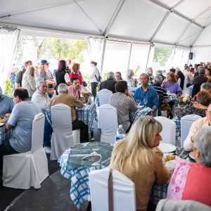 festival da lampreia