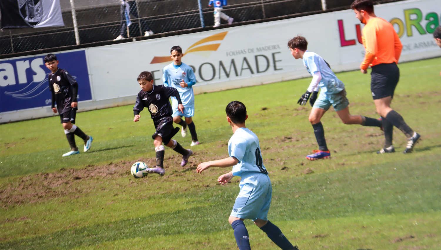 paredes 2