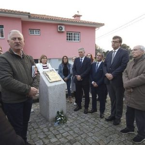 sebolido