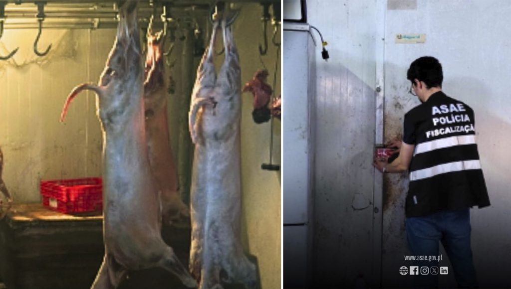 ASAE Desmantela Rede de Abate Clandestino no Grande Porto e Apreende Duas Toneladas de Carne 1 ASAE carne