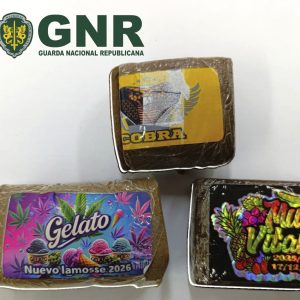 GNR1 2