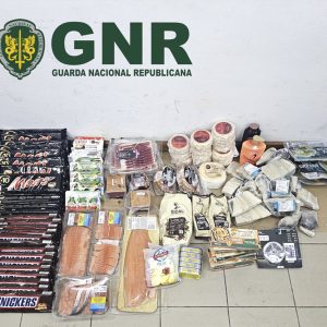 GNR2 1