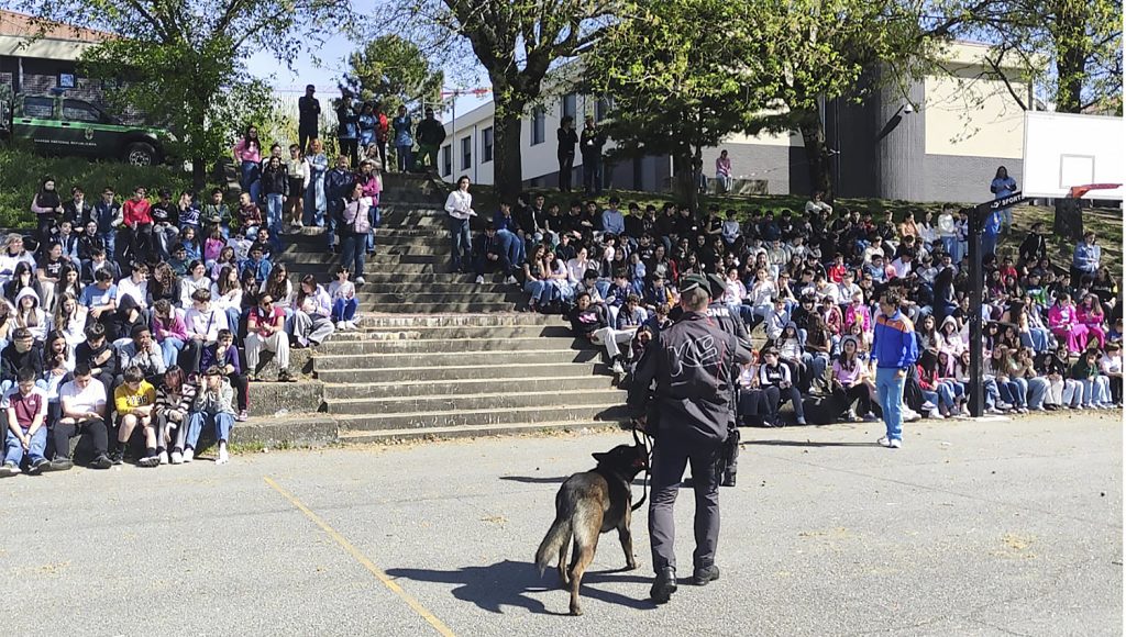 GNR PenafielCinotecnico