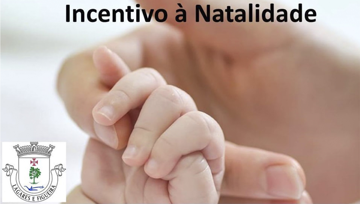 Freguesia de Lagares e Figueira com regulamento de incentivo à natalidade 3 Natalidade LagaresFigueira26