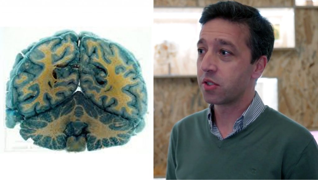 RicardoTaipa Freamunde fin