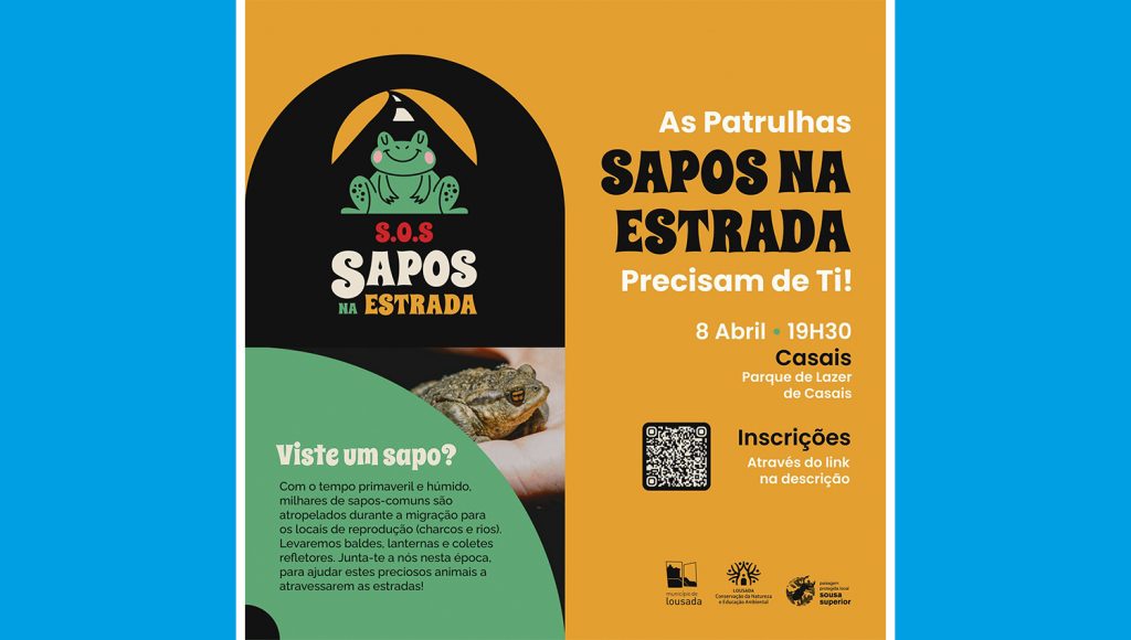 SaposEstradaLousada1