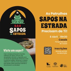 SaposEstradaLousada1