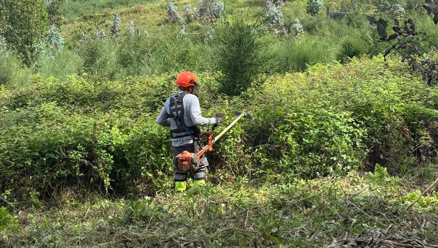 Paços de Ferreira reforça prevenção contra incêndios com limpeza de 22 hectares de rede viária 3 camara pacos
