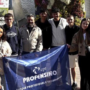 profensino