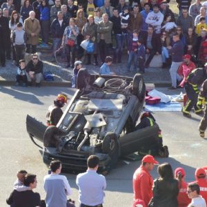 simulacro