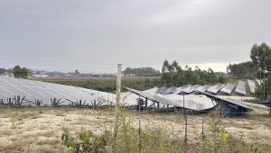Transição Energética: Vale do Sousa obrigado a reservar mais de 600 Hectares para Energias Renováveis 4 CentralFotoVoltaica2