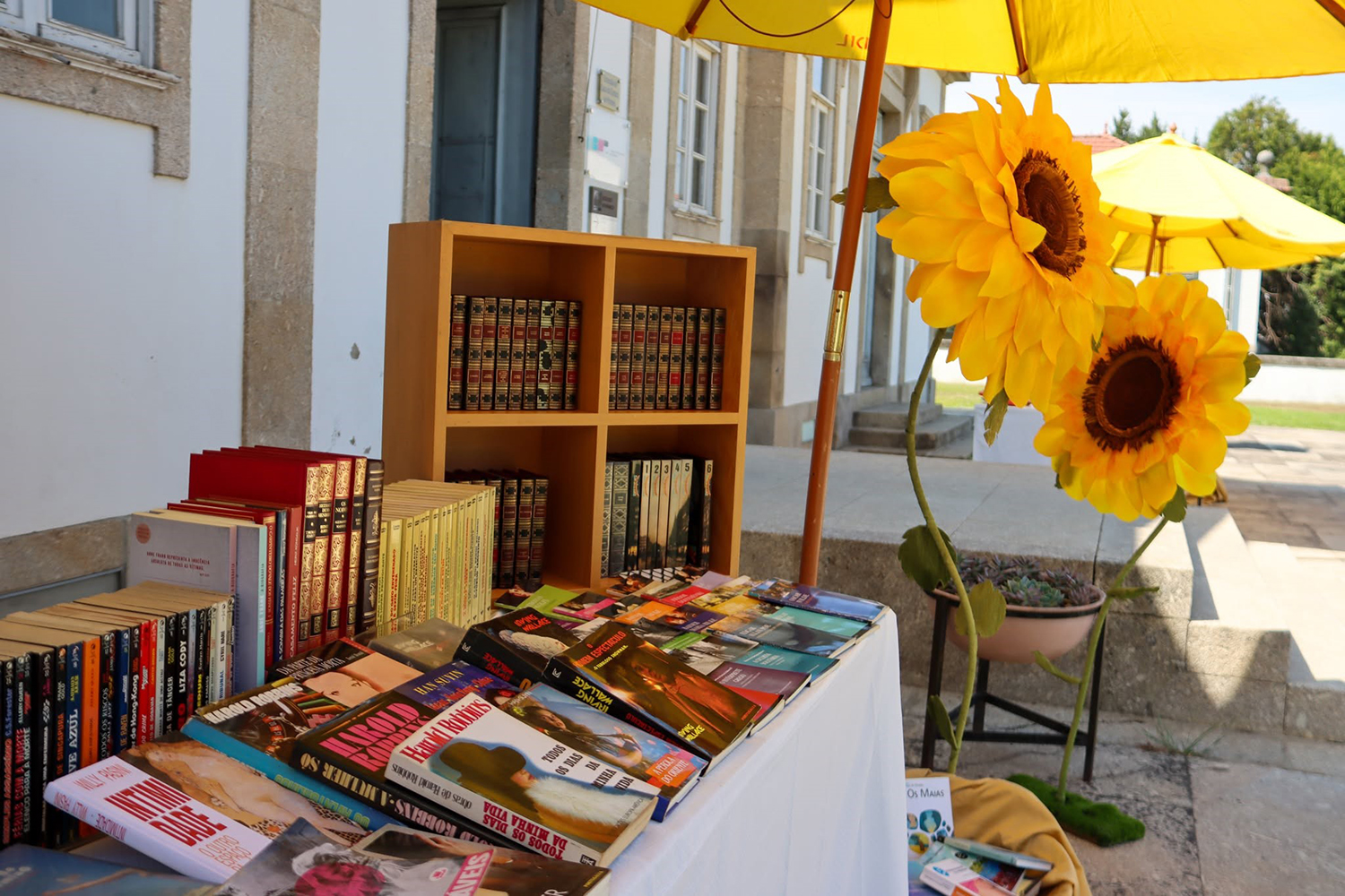 "Feira de Trocas e Palavras" leva Pedro Chagas Freitas e António Mota à Biblioteca Municipal de Paredes 3 paredes