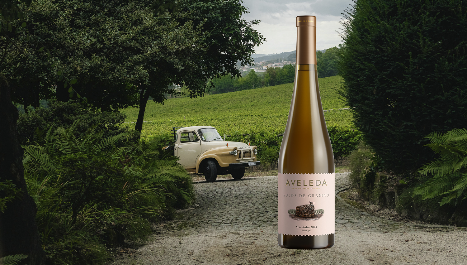 Aveleda Solos de Granito 2024 entra no "Top 100 Best Buys" da Wine Enthusiast 3 Aveleda Vinho26