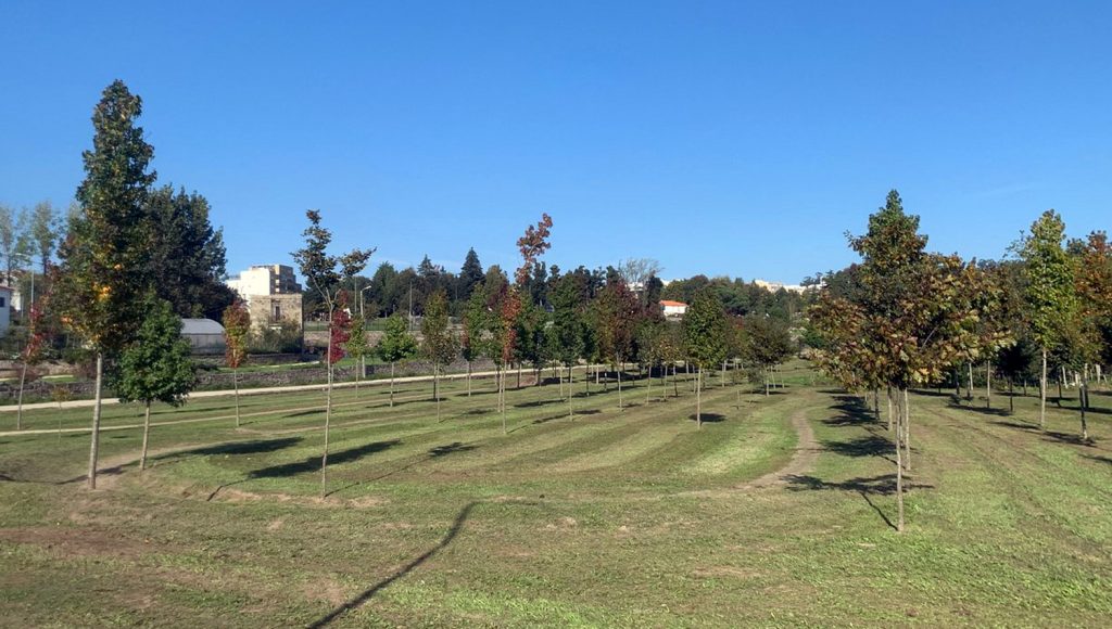 Governo obriga autarquias a reforçar áreas verdes: saiba onde, em Paços de Ferreira, Penafiel, Paredes e Lousada 1 ParqueUrbanoFIN