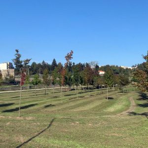 ParqueUrbanoFIN