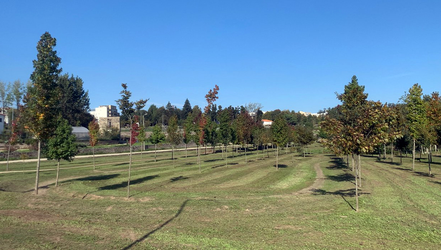 Governo obriga autarquias a reforçar áreas verdes: saiba onde, em Paços de Ferreira, Penafiel, Paredes e Lousada 3 ParqueUrbanoFIN