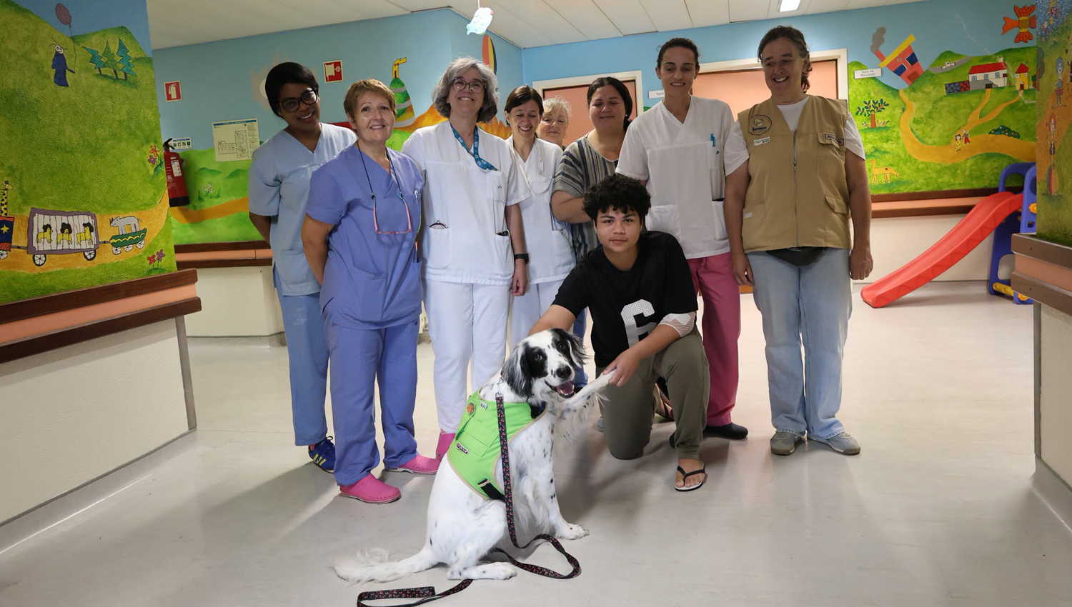 Cães de assistência levam terapia e sorrisos às crianças internadas no Hospital de Penafiel 3 cao
