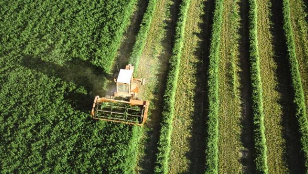 NORTE 2030 apoia contratação de quadros qualificados para reforçar cooperativas agrícolas do interior 1 norte