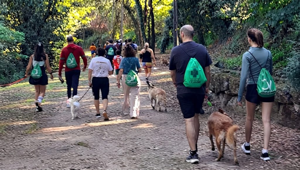 Lordelo acolheu nova edição da "Cãominhada" dedicada ao bem-estar animal 1 CaominhadaLordeloFIN