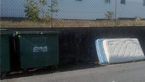 Juntas de Seroa e Figueiró emitem Apelo ao Civismo e à Limpeza Urbana na freguesia 4 Figueiro final